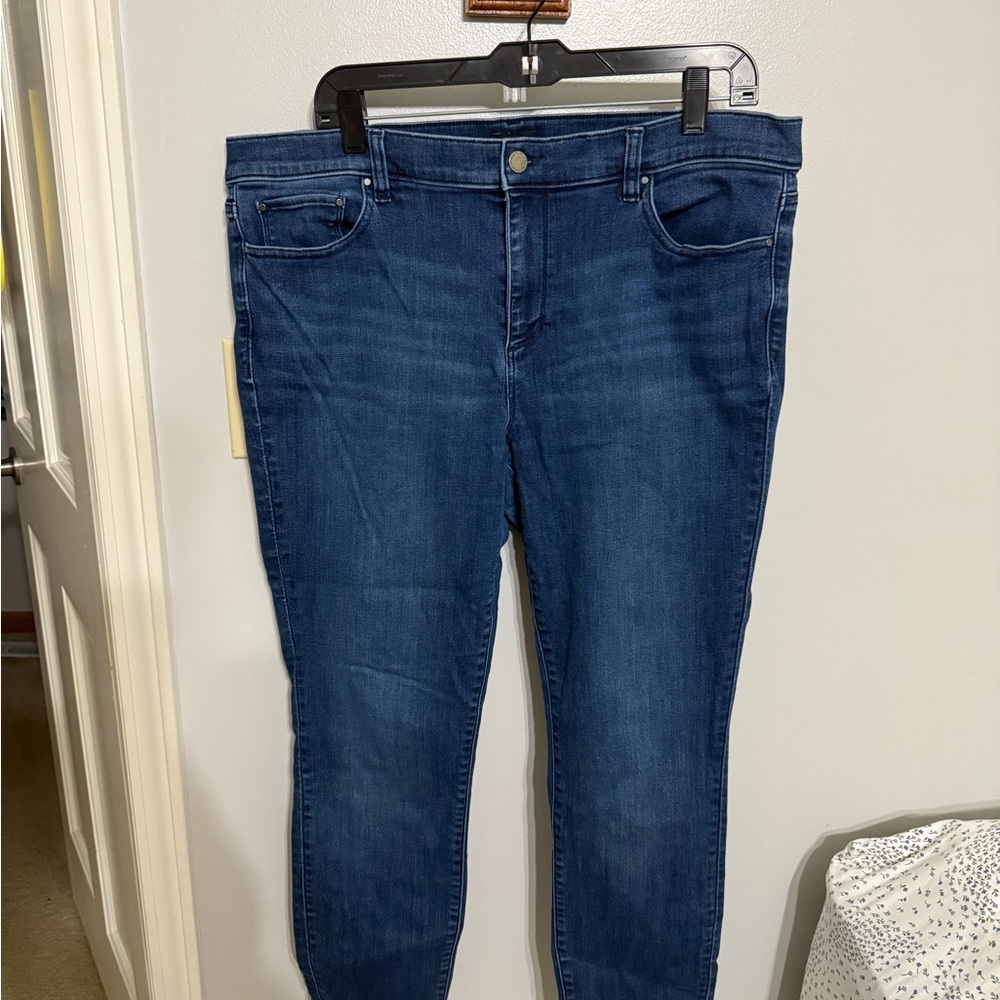 Ann Taylor Factory Blue Skinny Jeans Classic Style